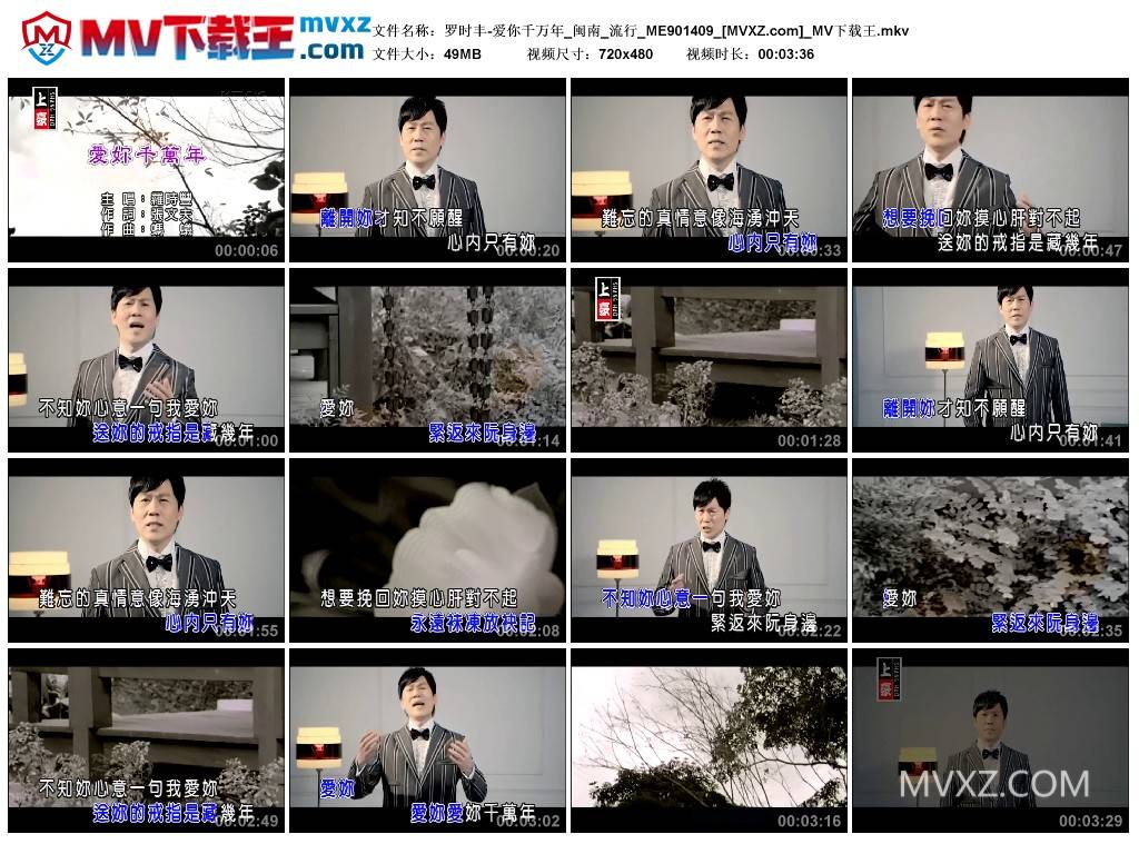 罗时丰-爱你千万年_闽南_流行_ME901409